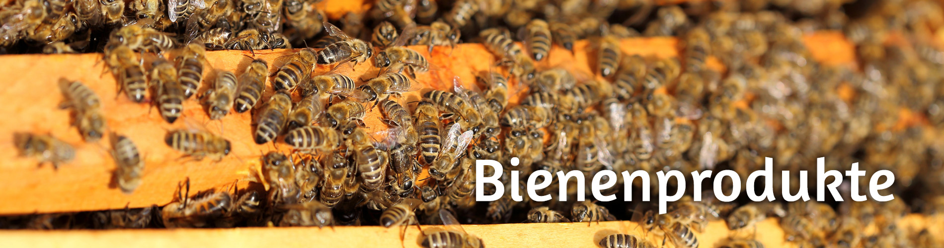 Bienenprodukte