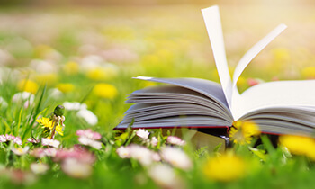 Ge&ouml;ffnetes Buch auf bl&uuml;hender Wiese, Kategoriebild B&uuml;cher